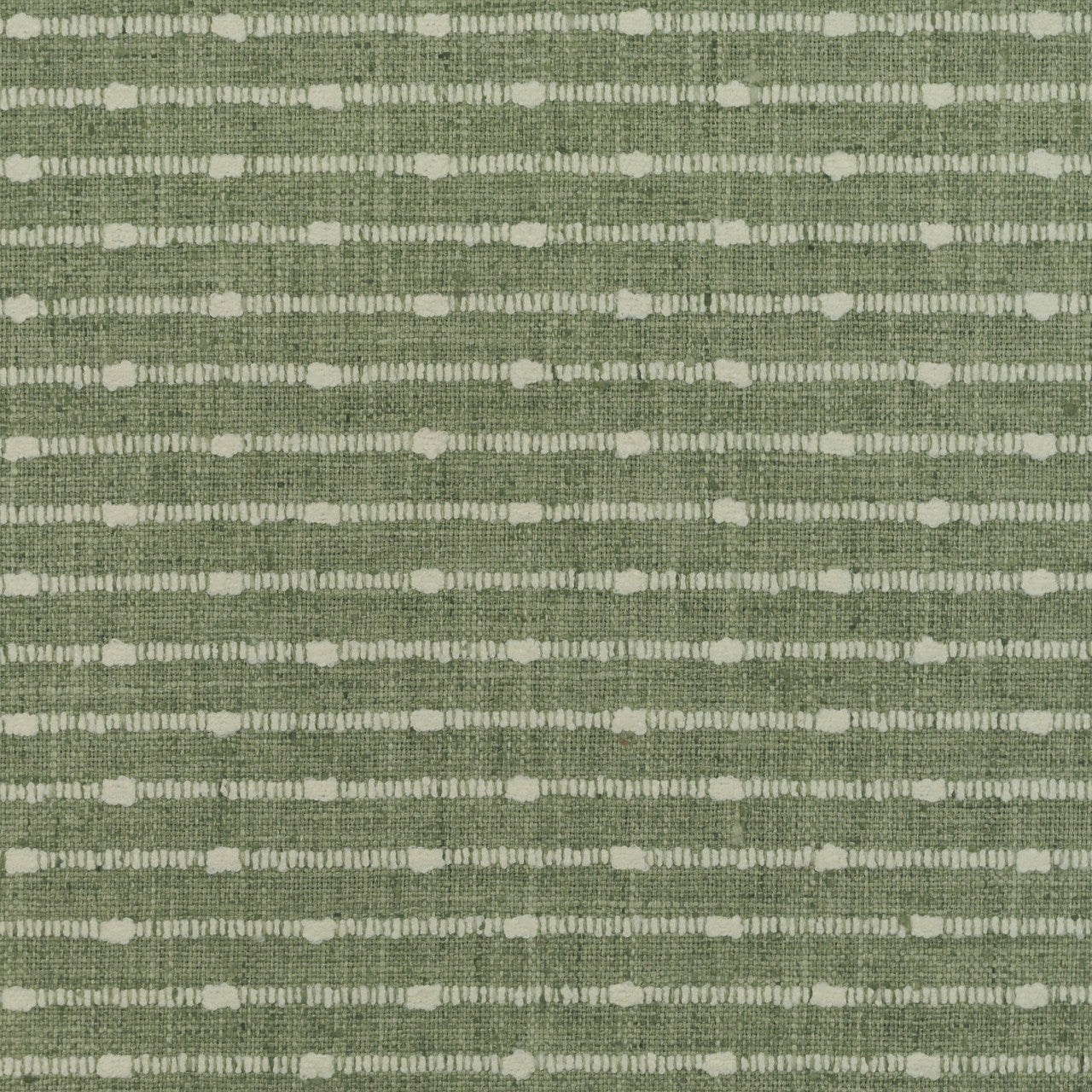 Deja Vu Aloe by P Kaufmann