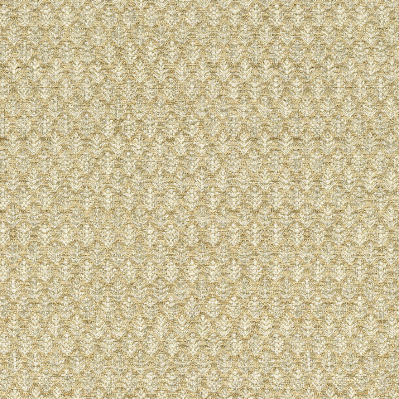 Fern Fair Wheat by P/K Lifestyles