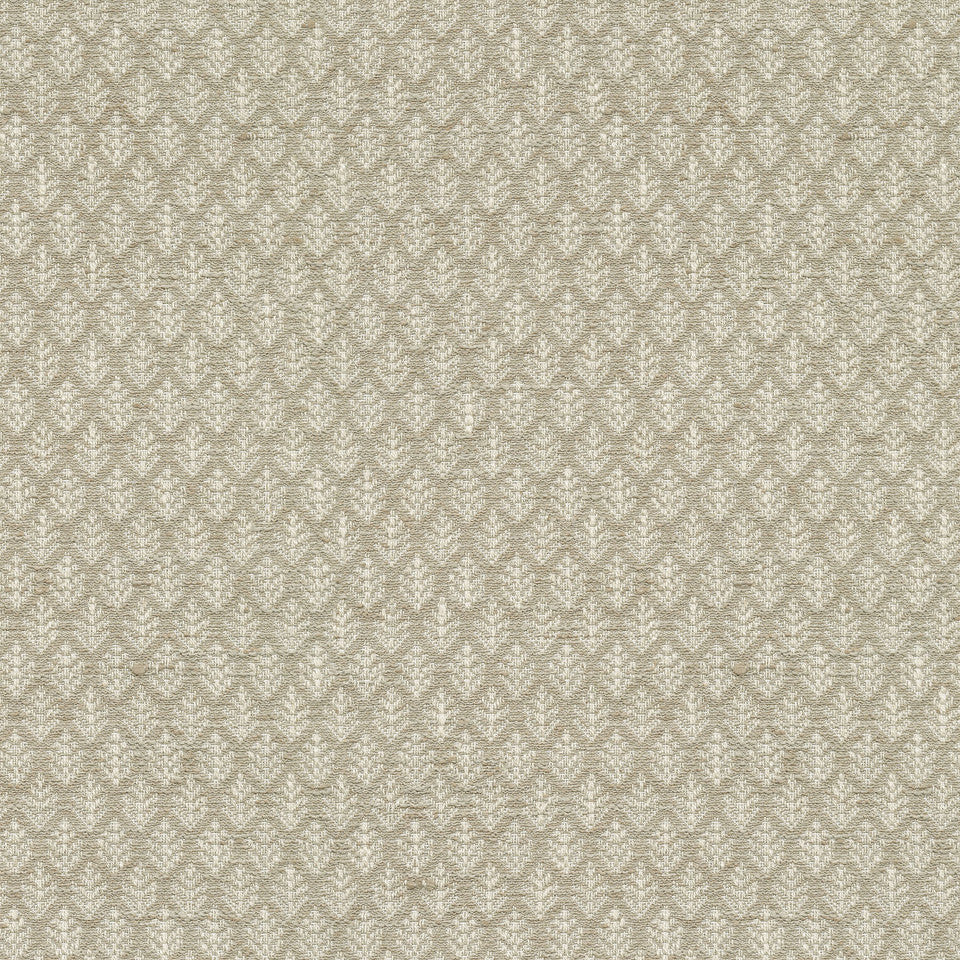 Fern Fair Steam by P/K Lifestyles