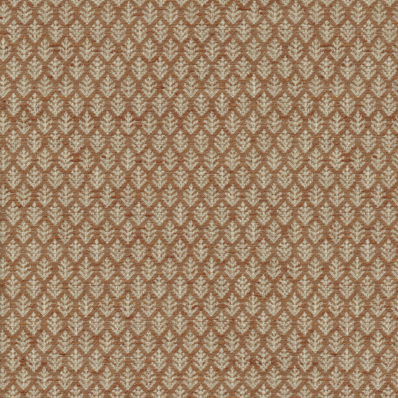 Fern Fair Persimmon by P/K Lifestyles