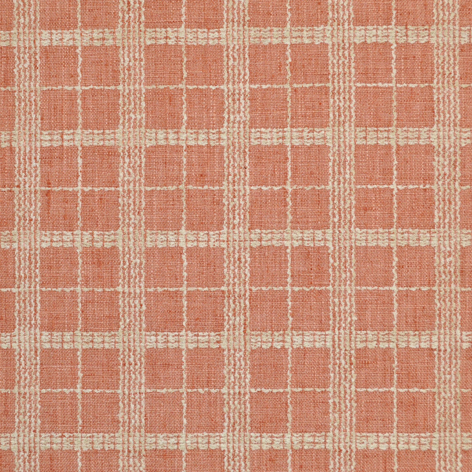 Double Check Soft Coral by P Kaufmann