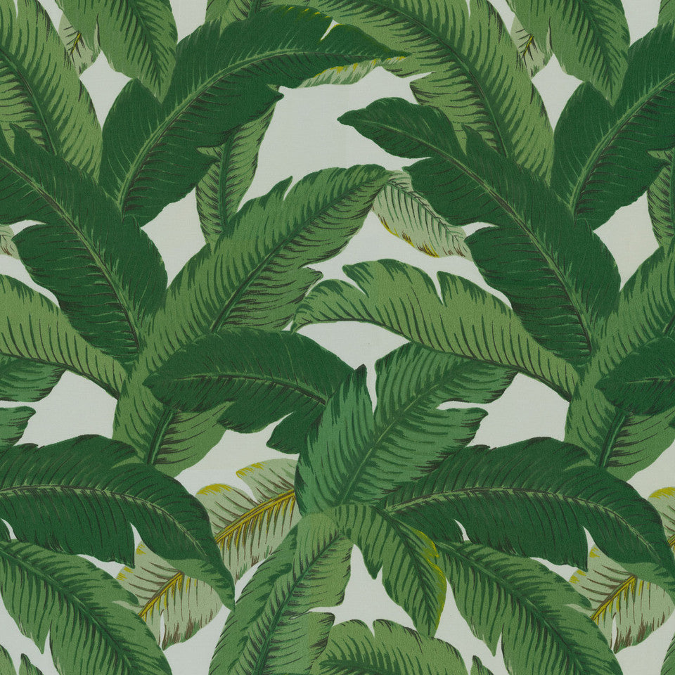 Tommy Bahama Swaying Palms Aloe