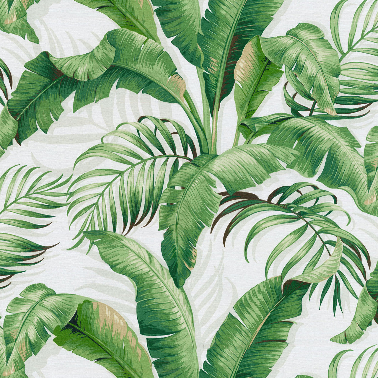 Tommy Bahama PALMIERS - VERDE