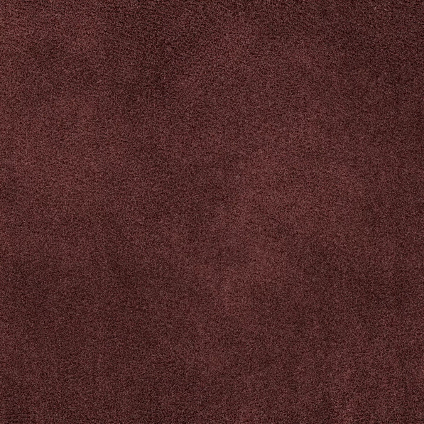 Eastwood by Warwick Fabrics