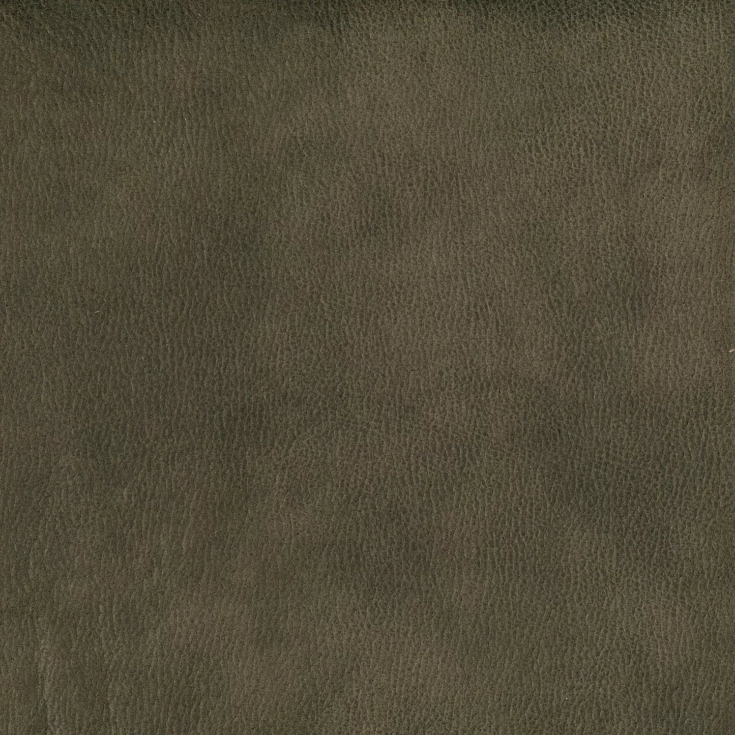 Eastwood by Warwick Fabrics