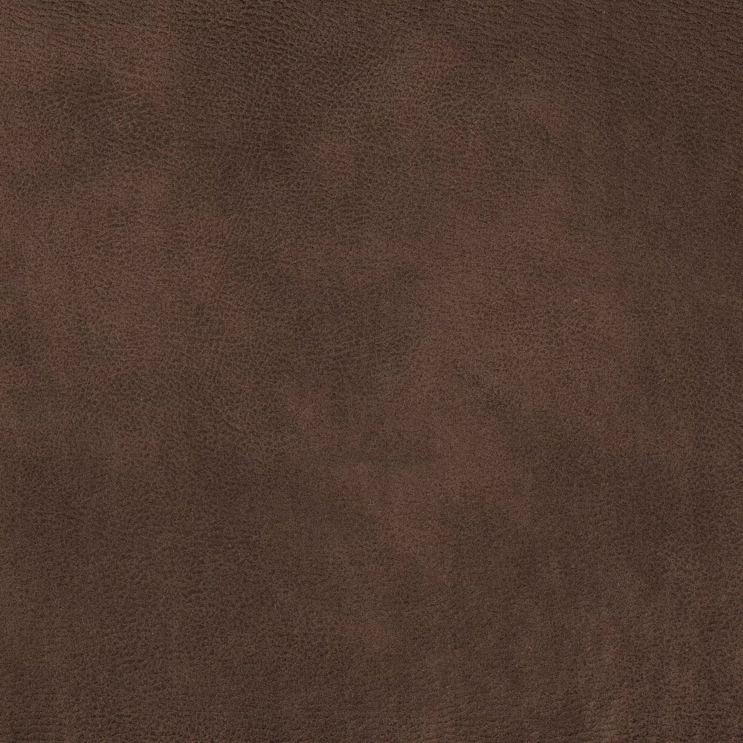 Eastwood by Warwick Fabrics