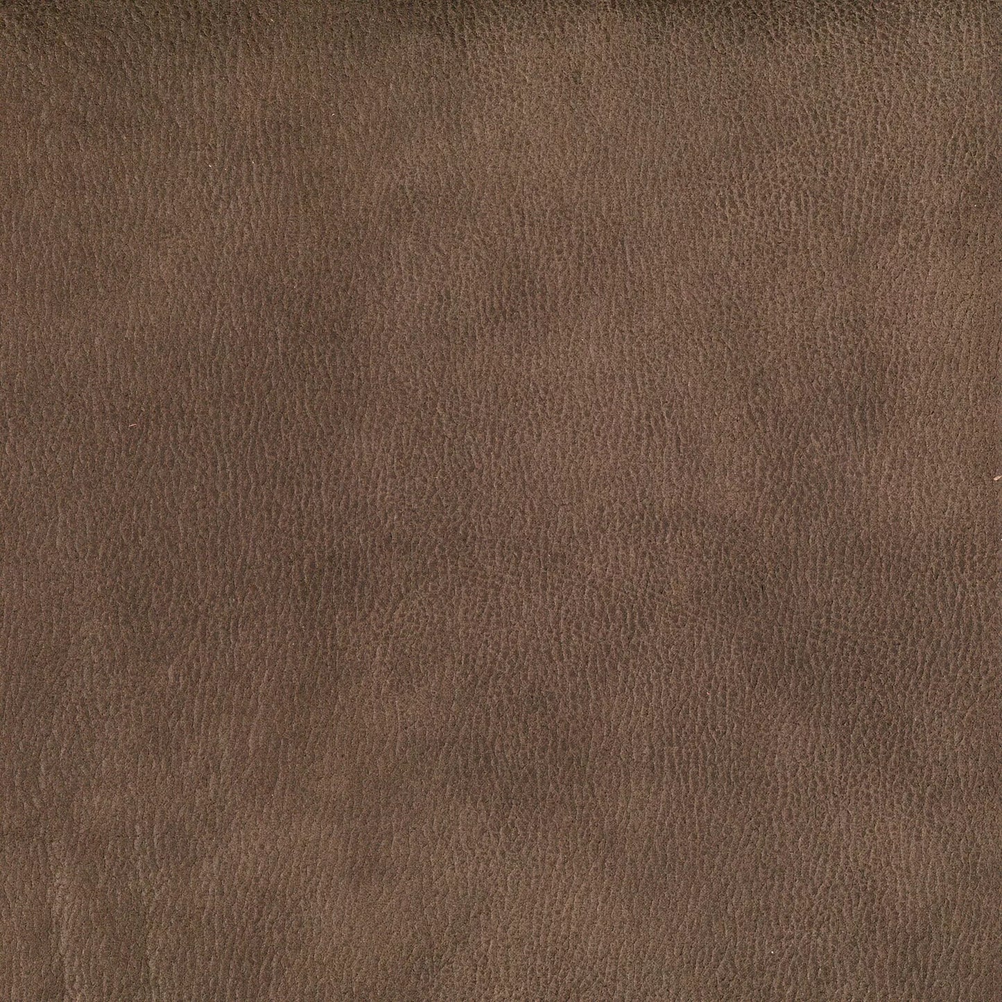 Eastwood by Warwick Fabrics