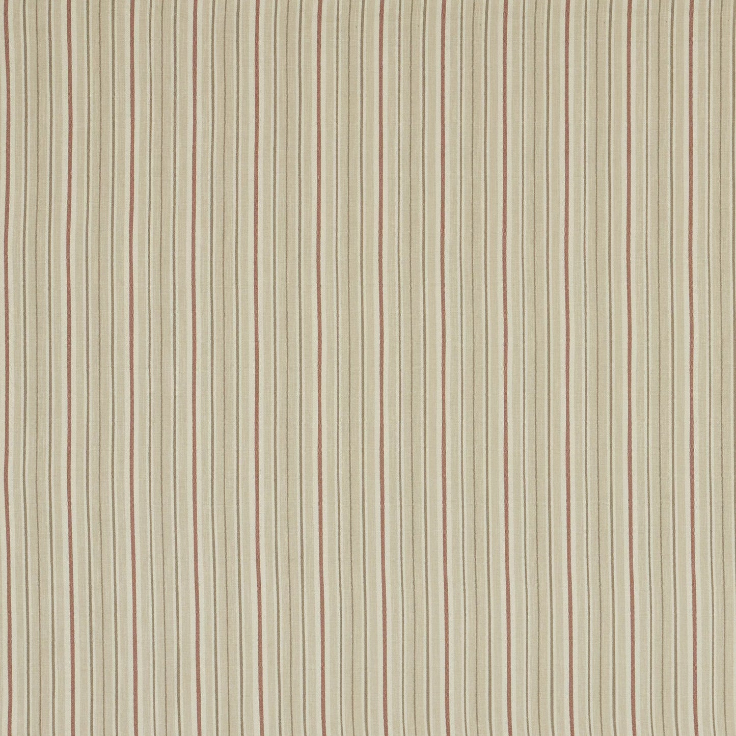 Derry Blush by Warwick Fabrics