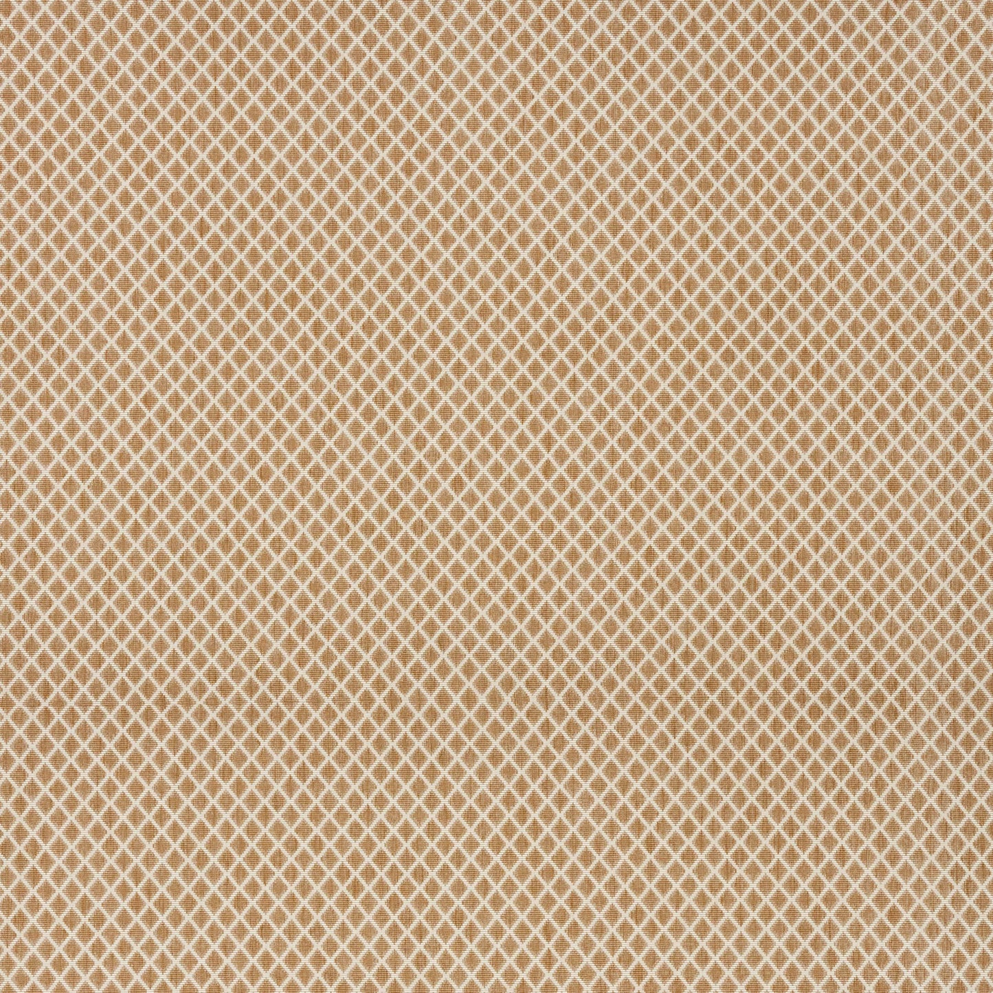 Alvita Mustard by Warwick Fabrics
