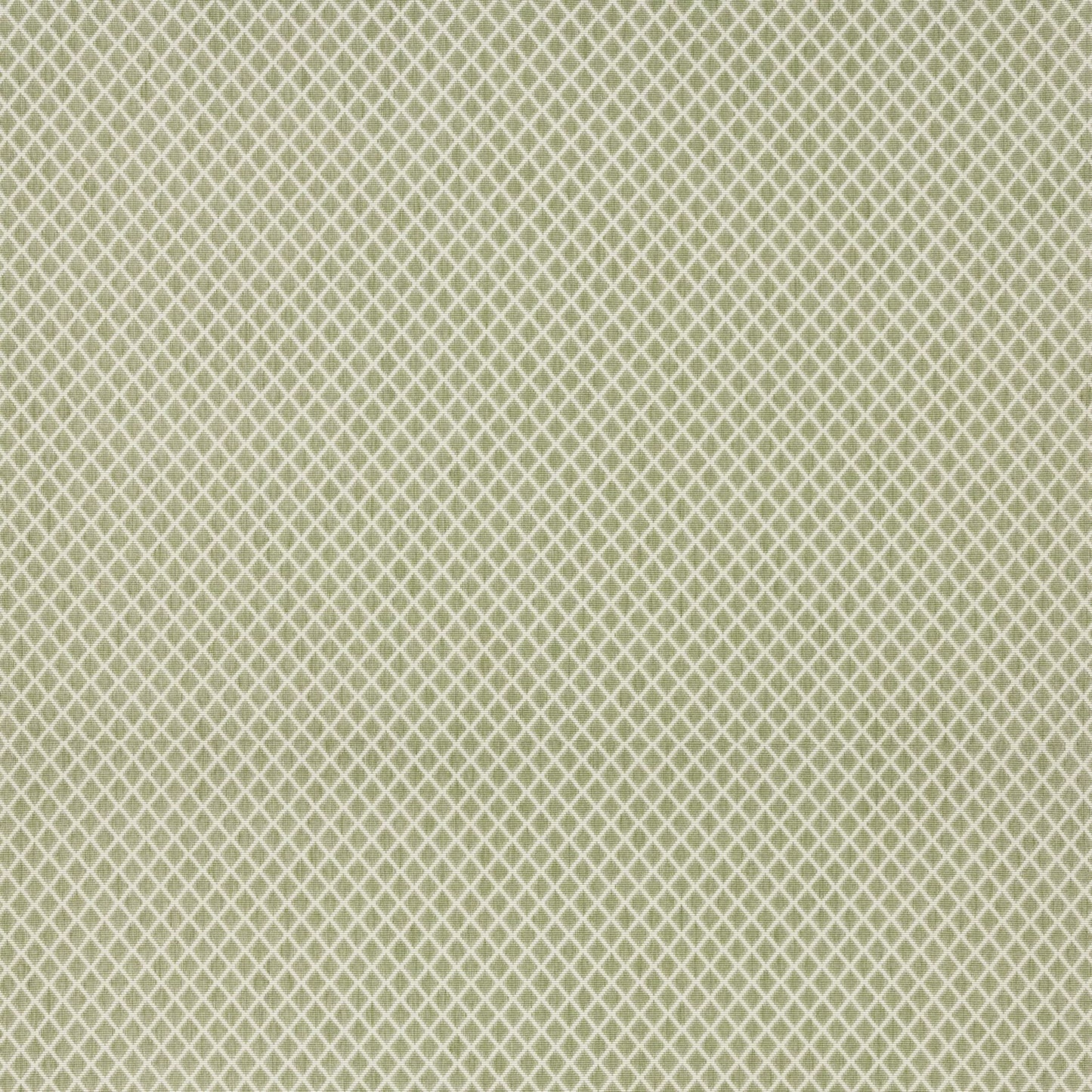 Alvita Olive by Warwick Fabrics