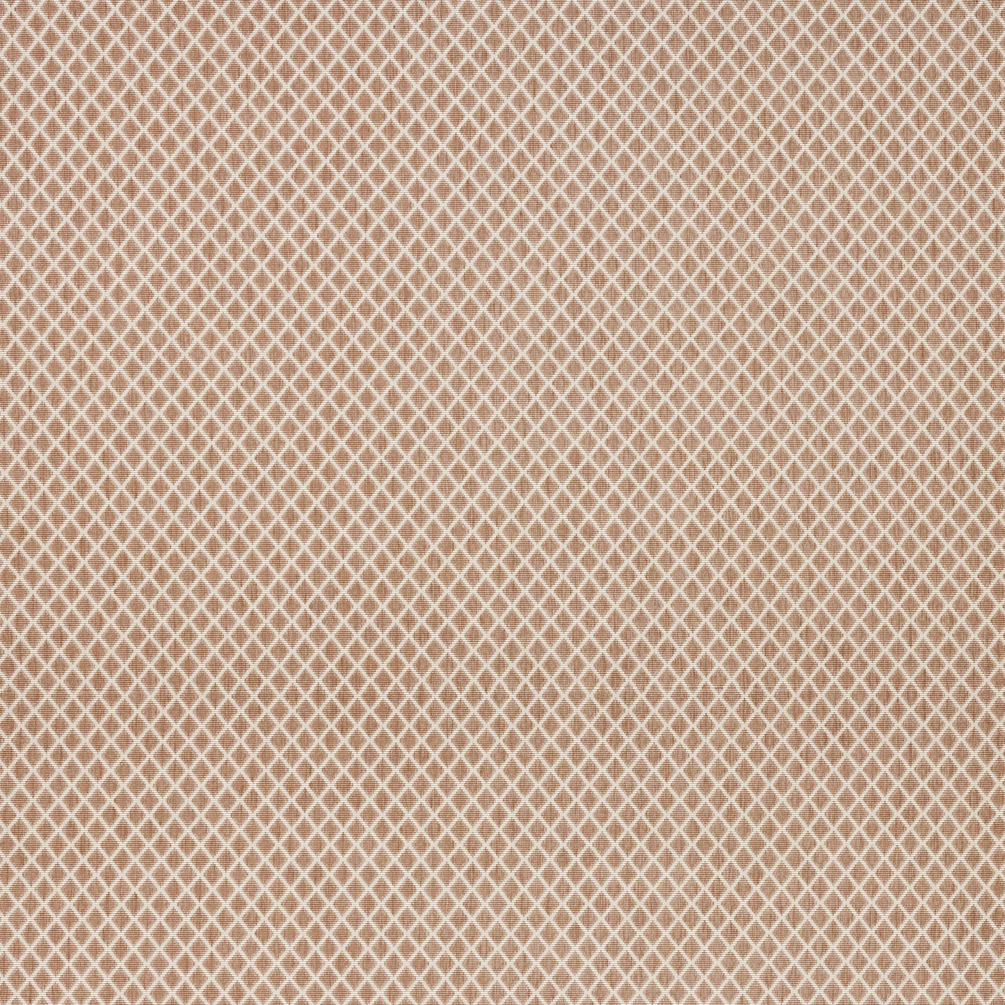 Alvita Terracotta by Warwick Fabrics