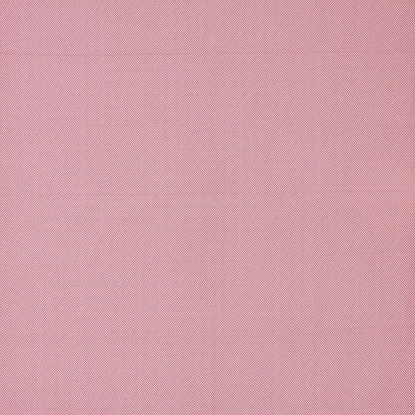 Aldinga Hibiscus By Warwick Fabrics