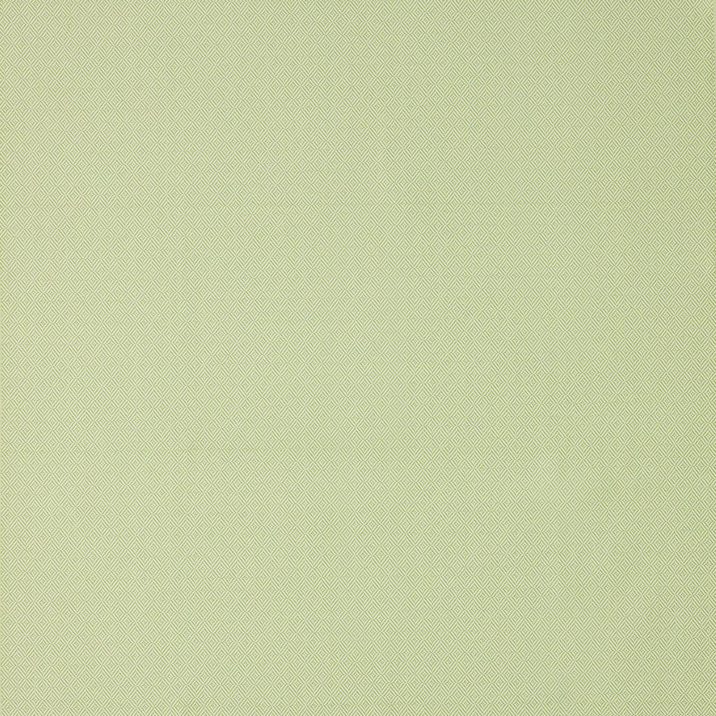 Aldinga Lime By Warwick Fabrics