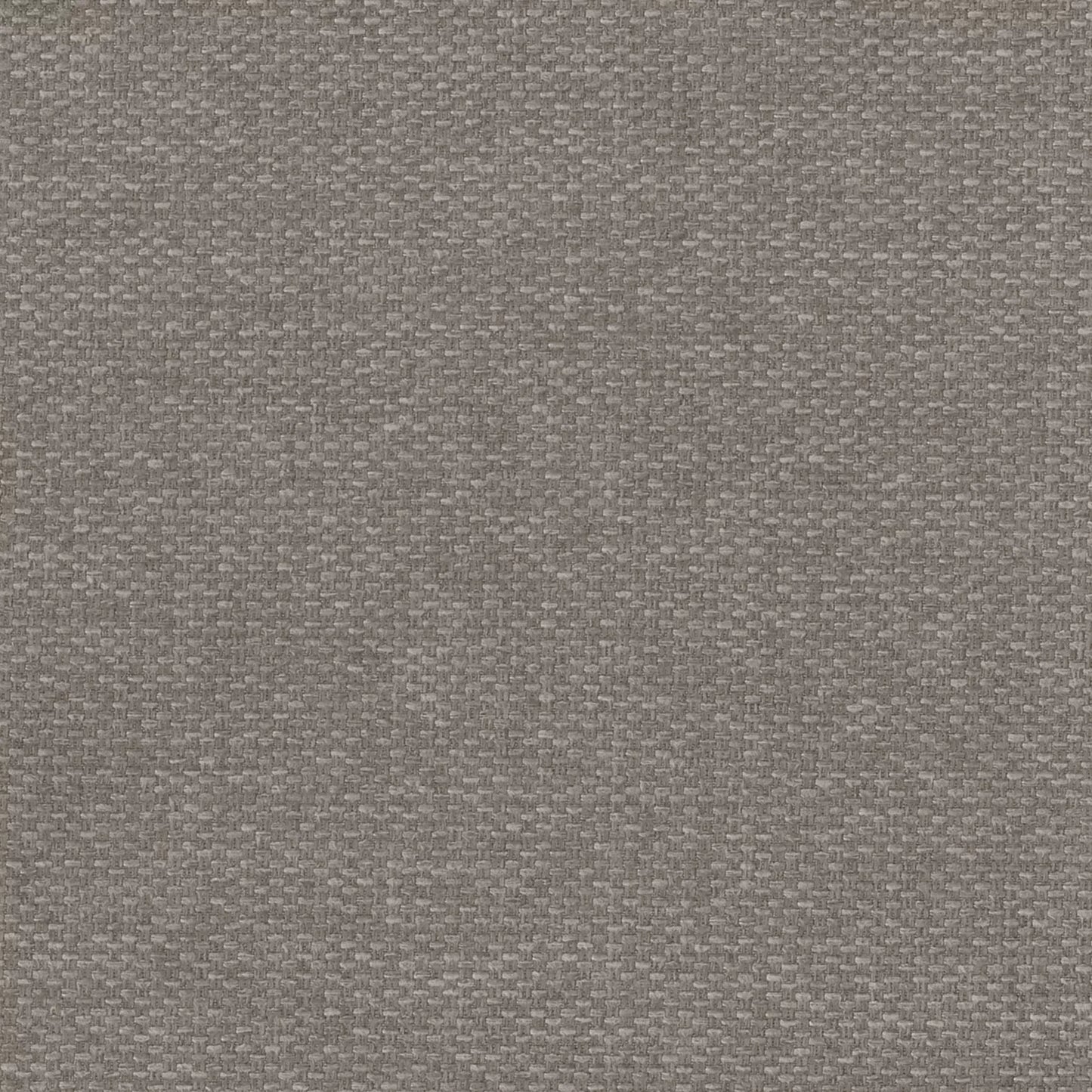 Balmain Walnut by Warwick Fabrics
