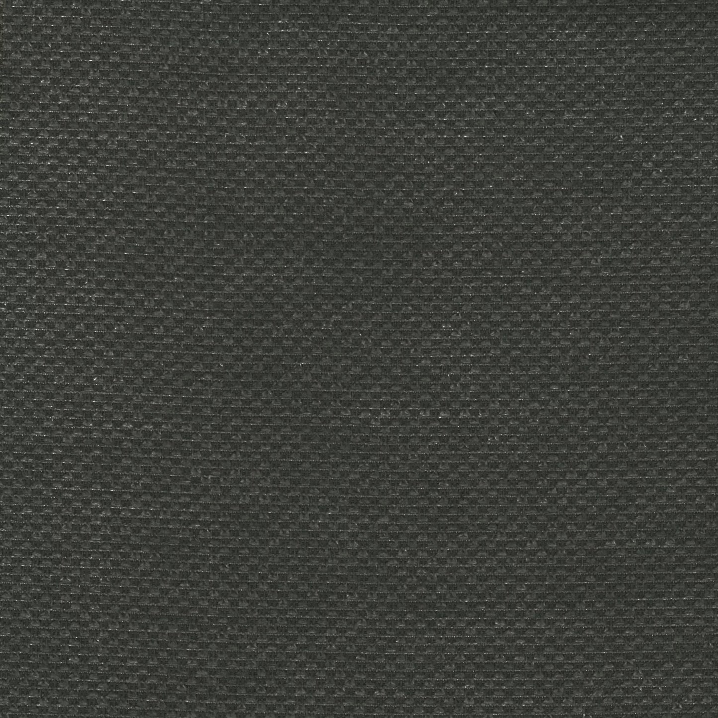 Bingle by Warwick Fabrics