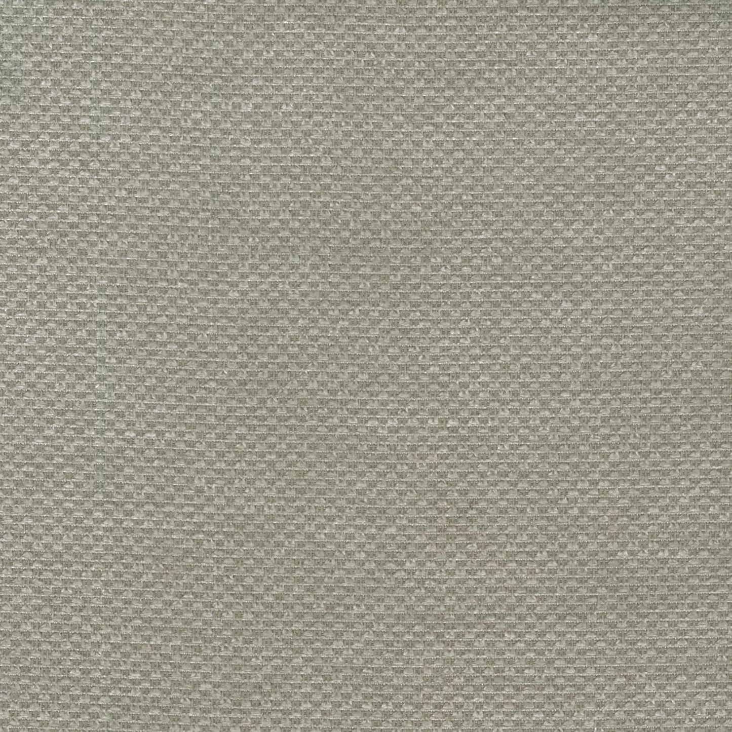 Bingle by Warwick Fabrics