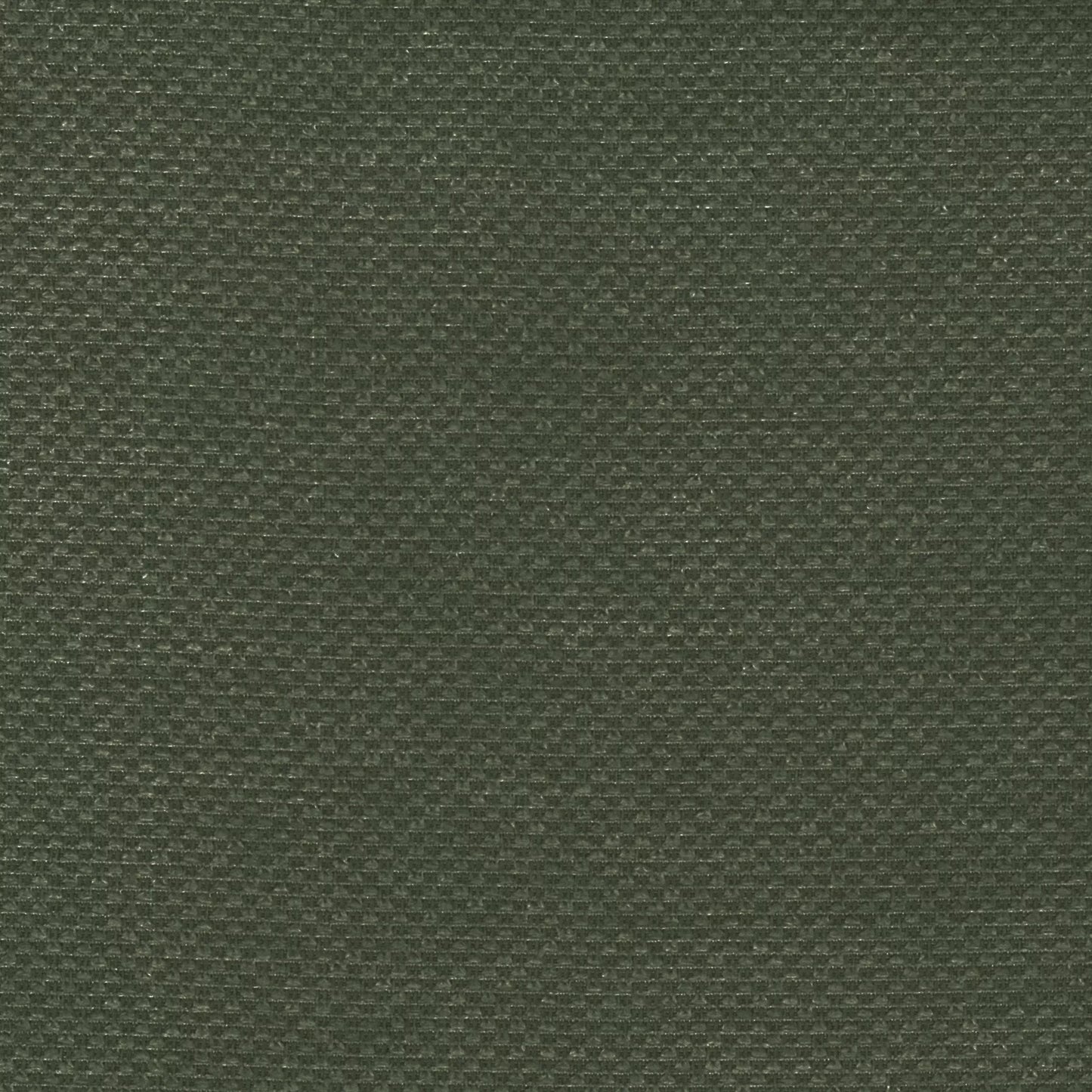 Bingle by Warwick Fabrics