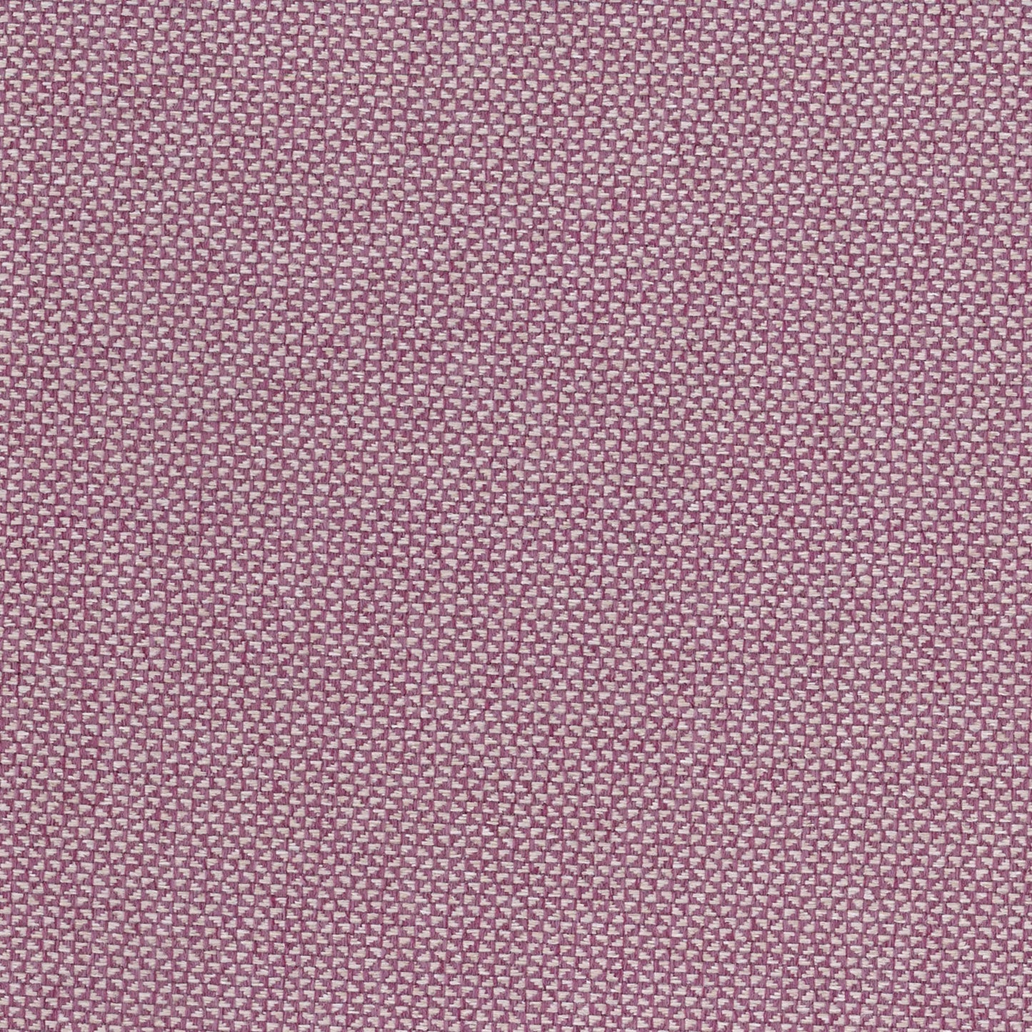 Brooklyn by Warwick Fabrics