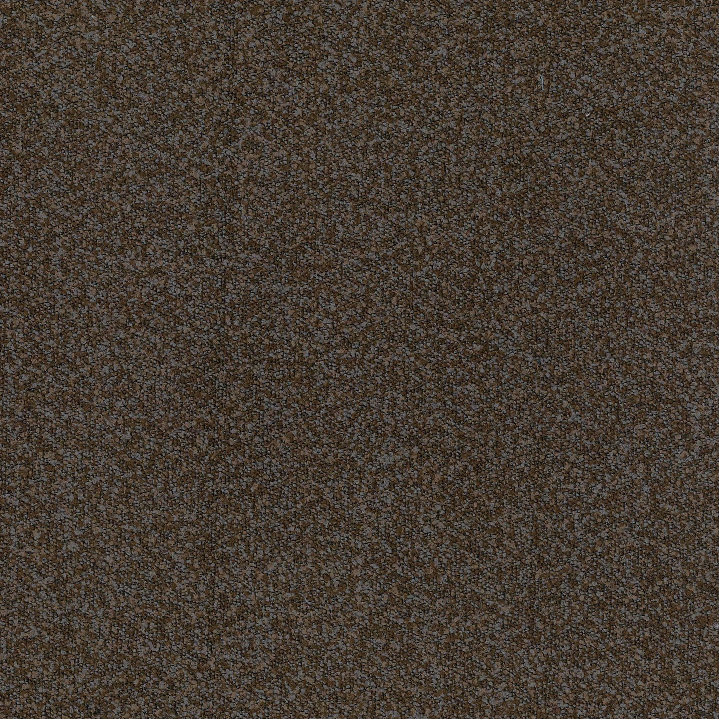 Buckley Bark by Warwick Fabrics
