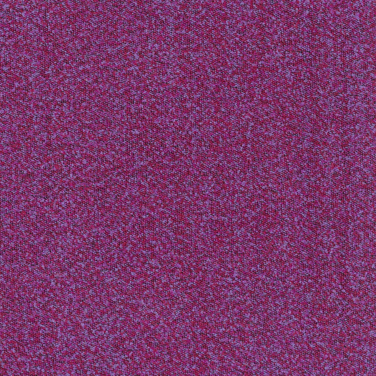 Buckley Berry by Warwick Fabrics