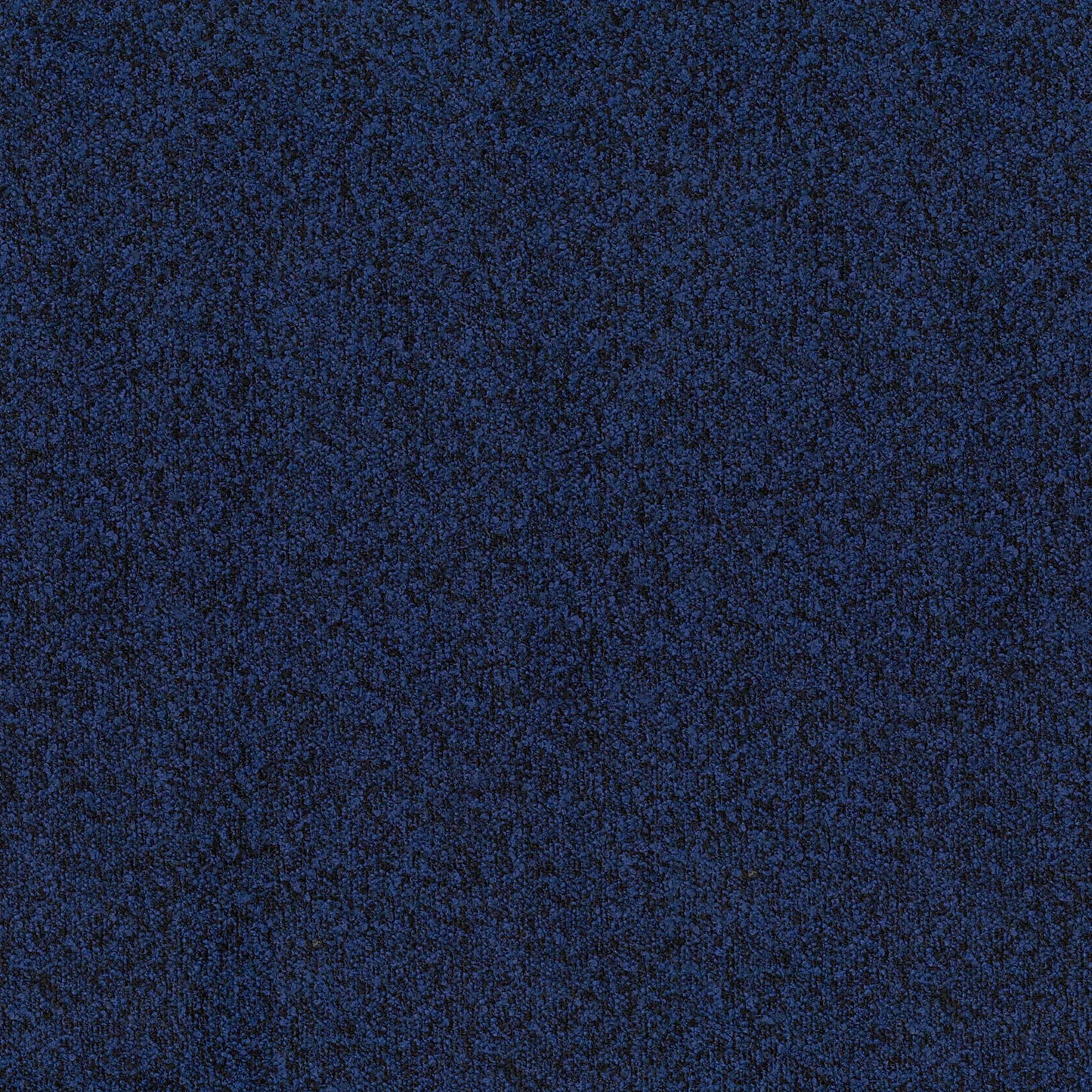 Buckley Navy by Warwick Fabrics