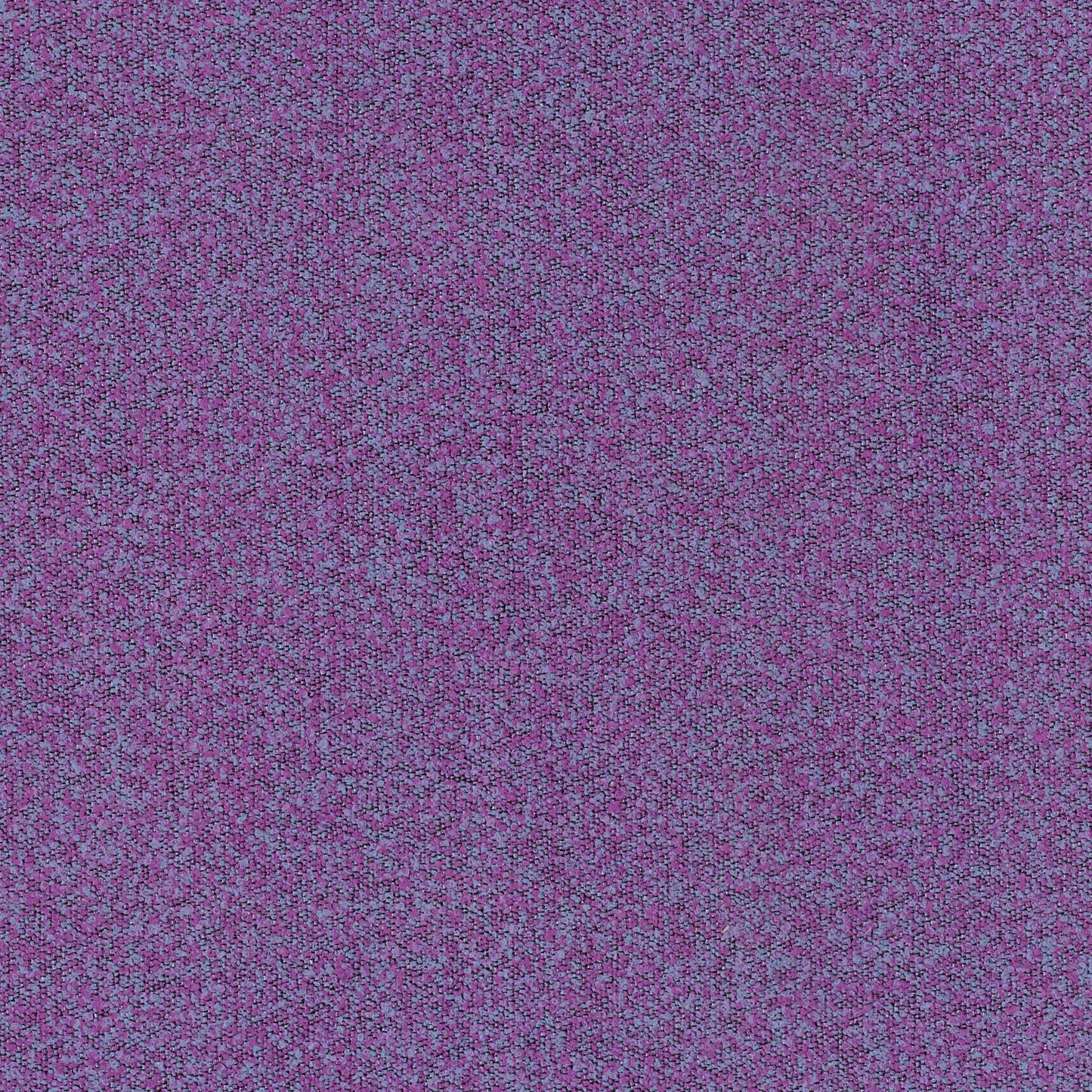 Buckley Violet by Warwick Fabrics