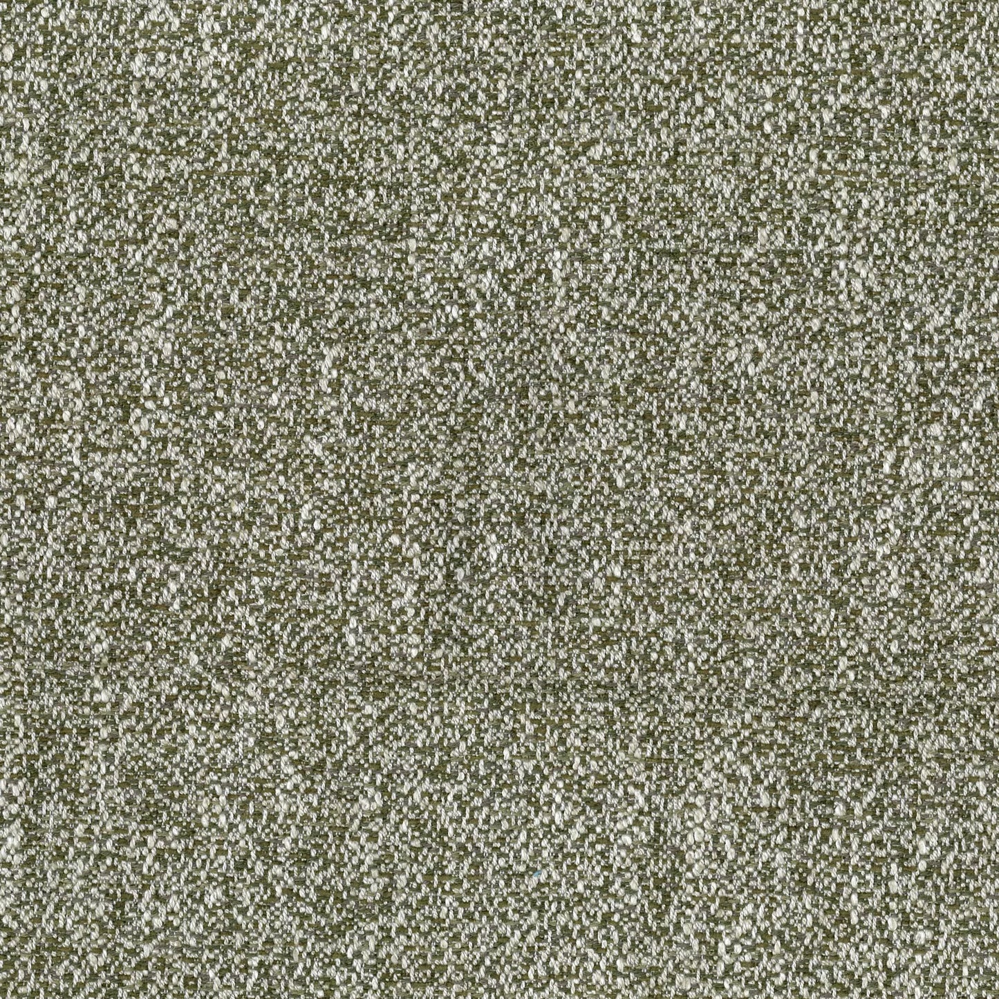 Carlo Olive by Warwick Fabrics