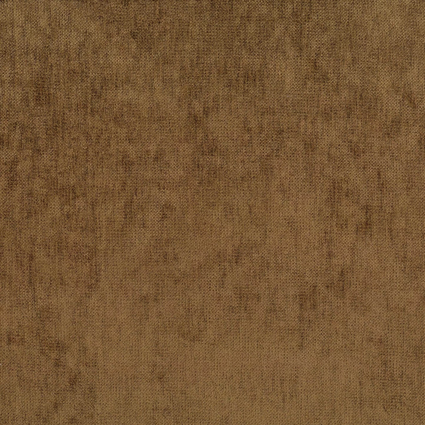 Caspian Gold by Warwick Fabrics
