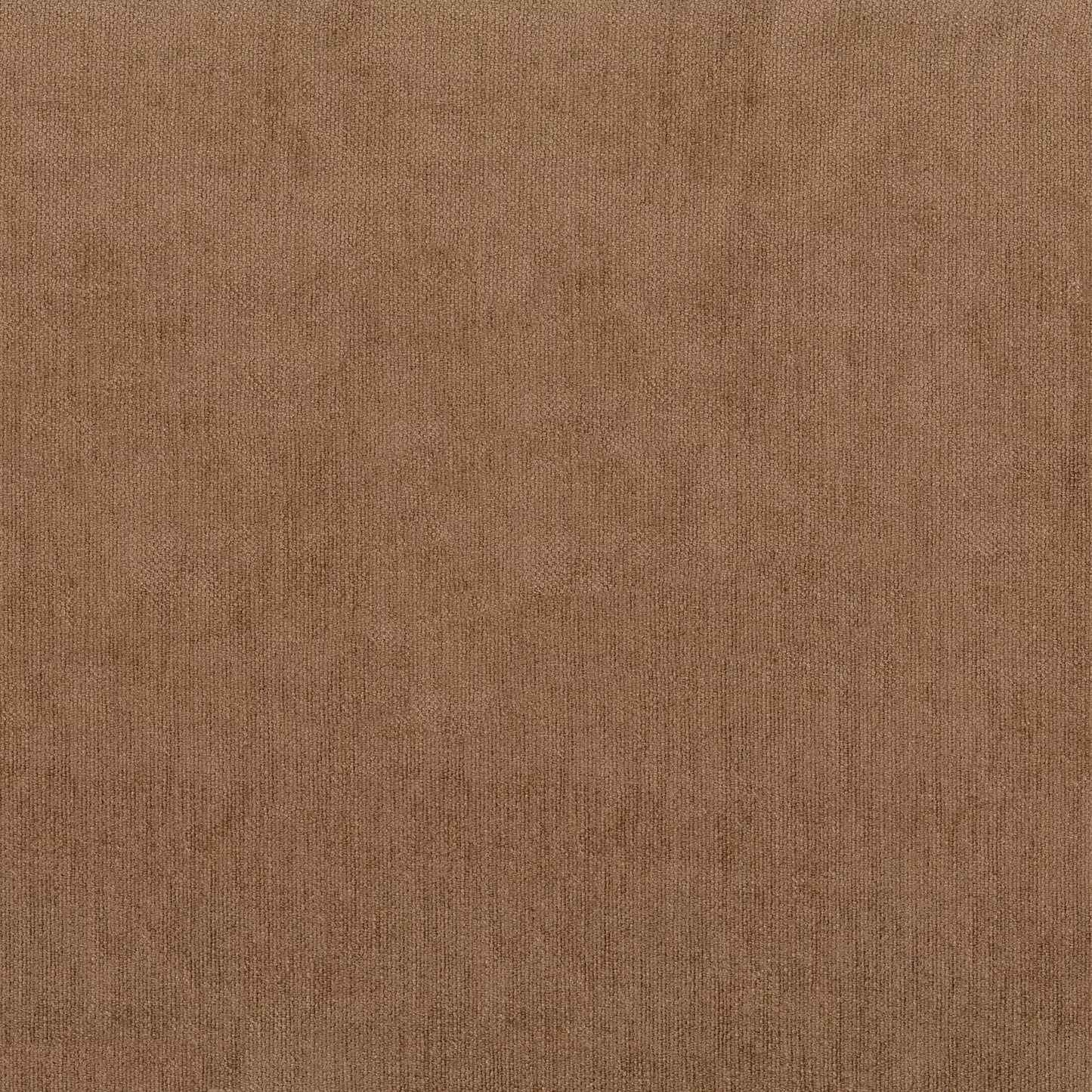 Caspian Nutmeg by Warwick Fabrics