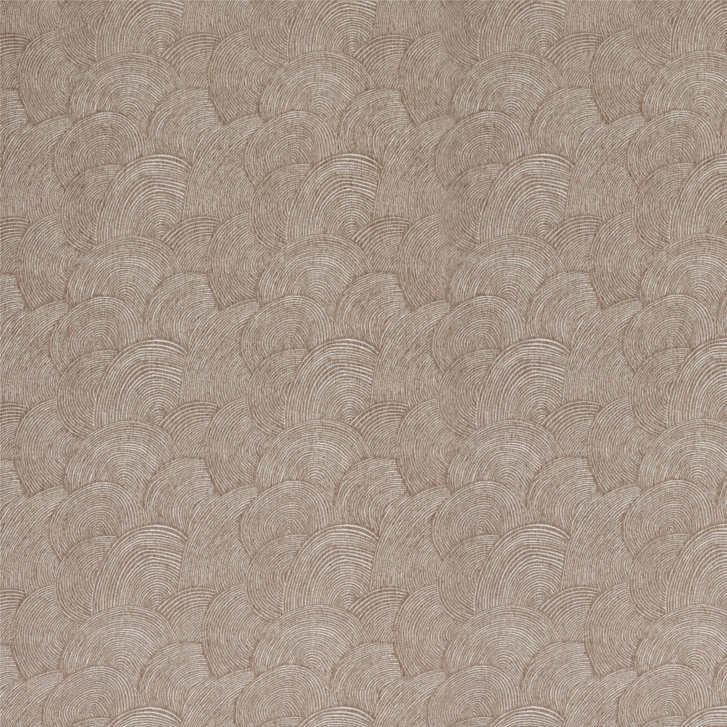 Casablanca by Warwick Fabrics