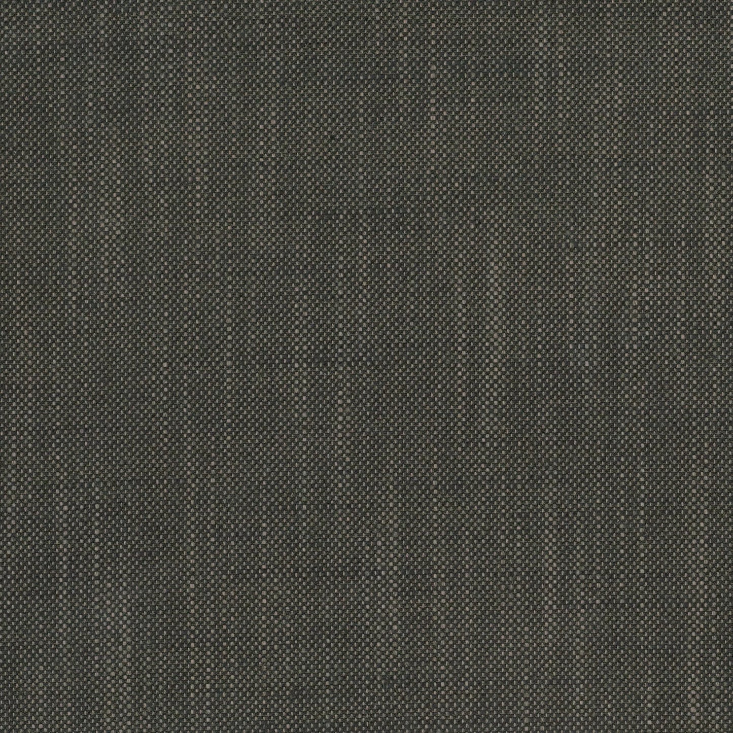 Husk by Warwick Fabrics