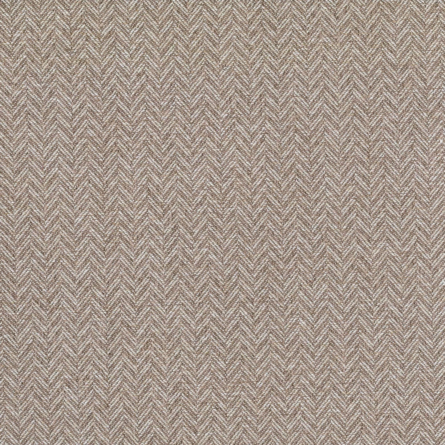 Coney by Warwick Fabrics
