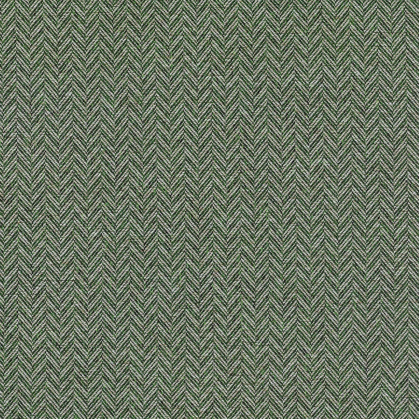Coney by Warwick Fabrics