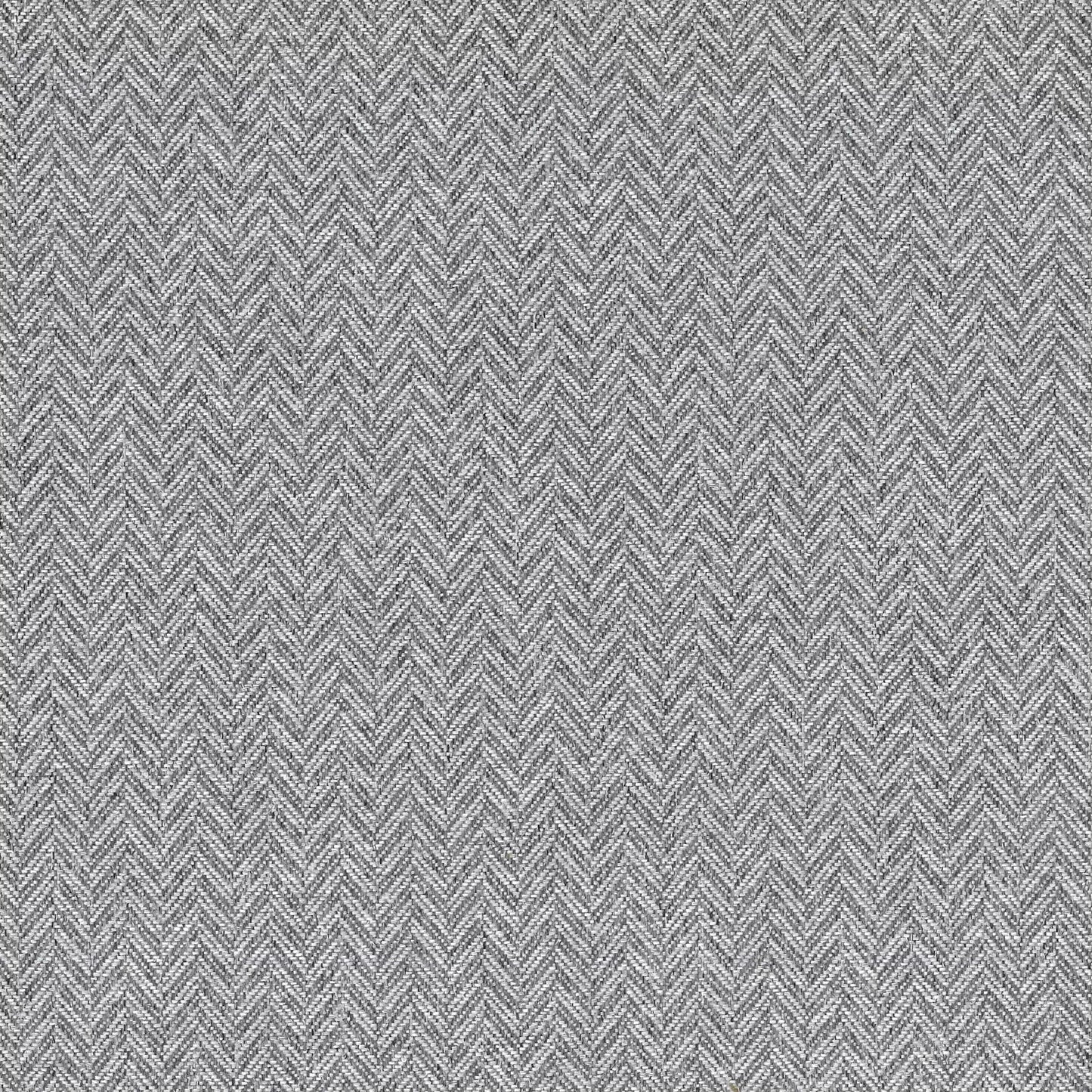 Coney by Warwick Fabrics