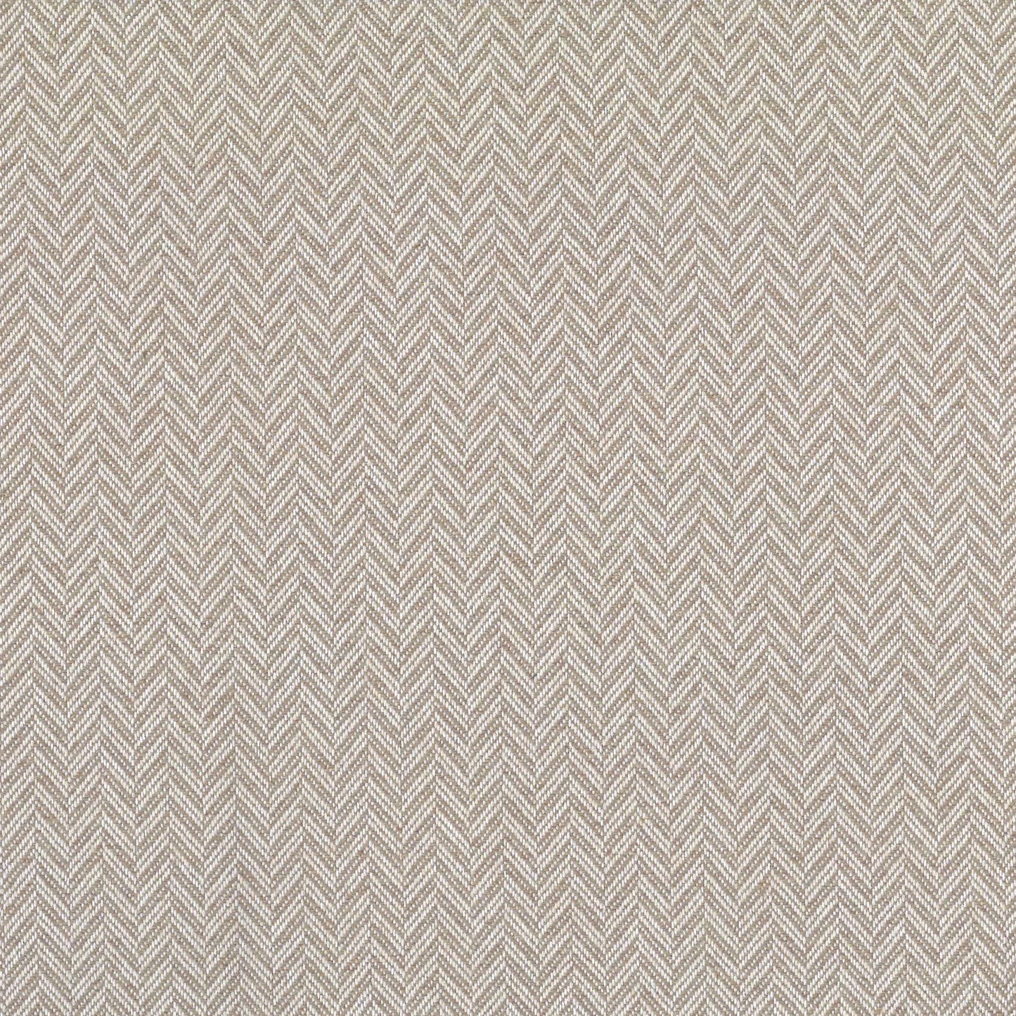 Coney by Warwick Fabrics