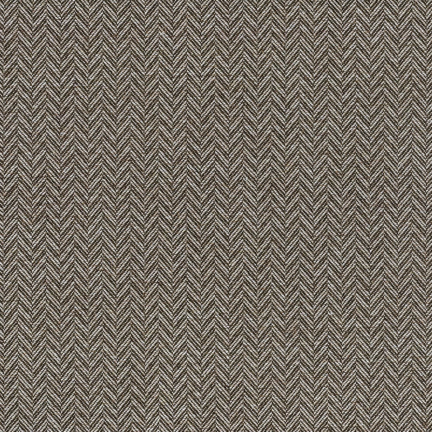 Coney by Warwick Fabrics