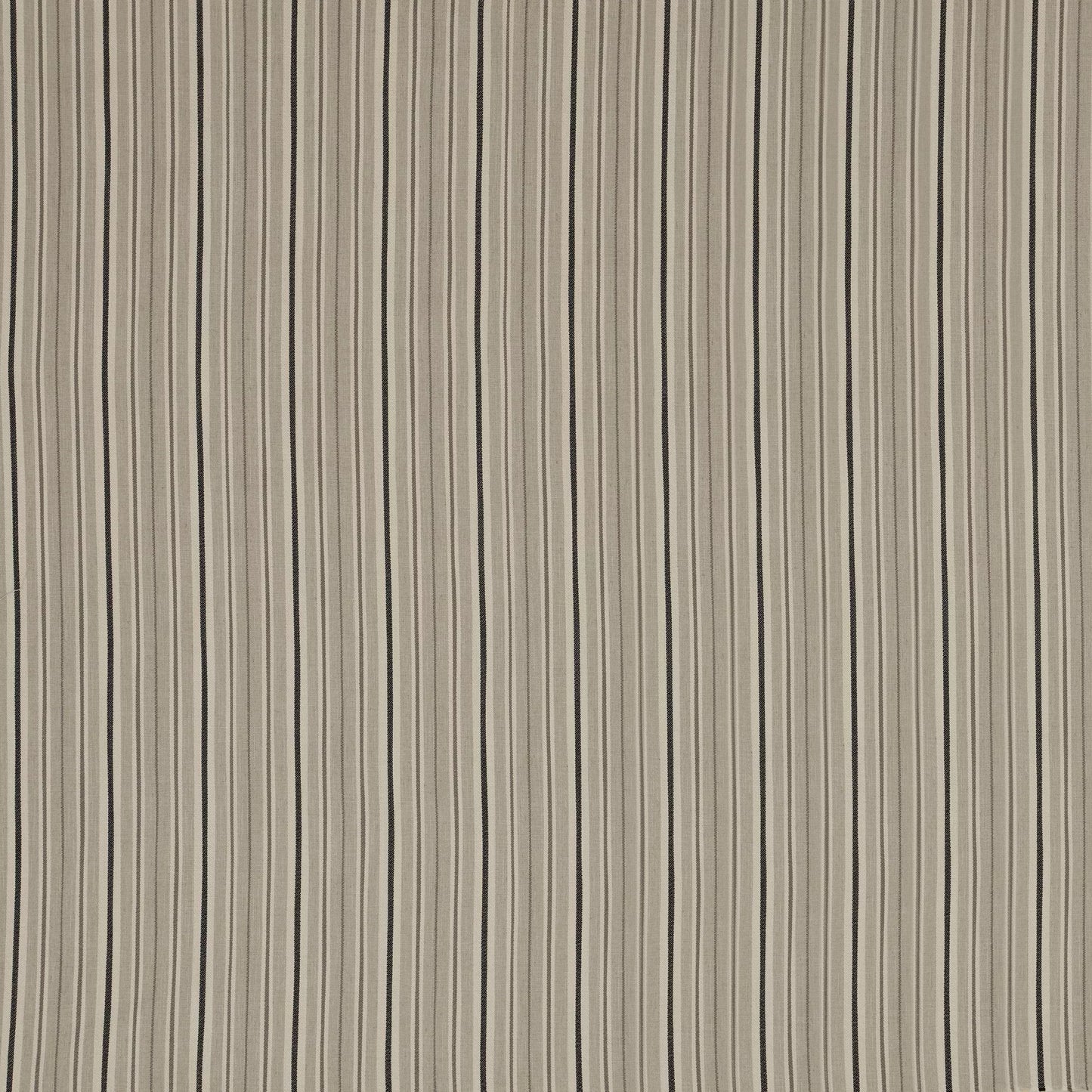 Derry Ebony by Warwick Fabrics