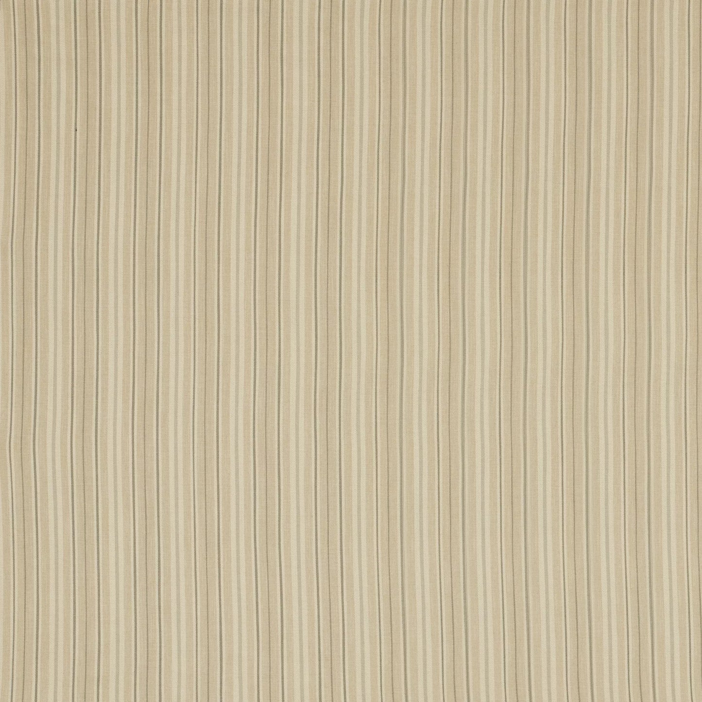 Derry Grey by Warwick Fabrics