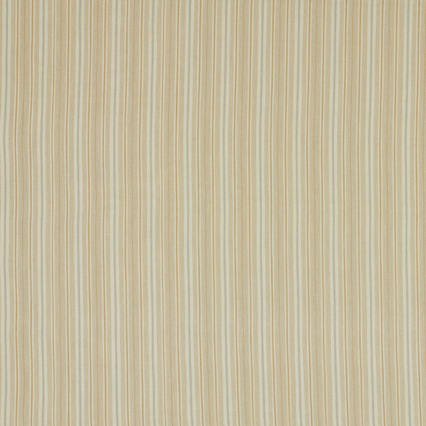 Derry Honey by Warwick Fabrics