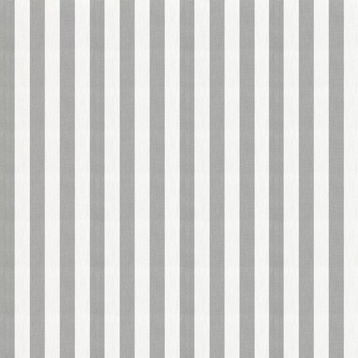 Derby Ash by Warwick Fabrics