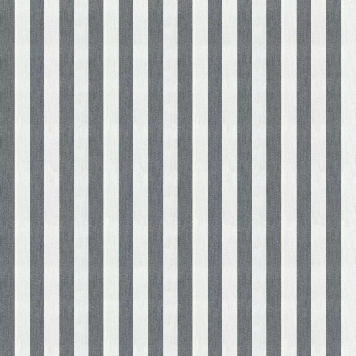 Derby Slate by Warwick Fabrics
