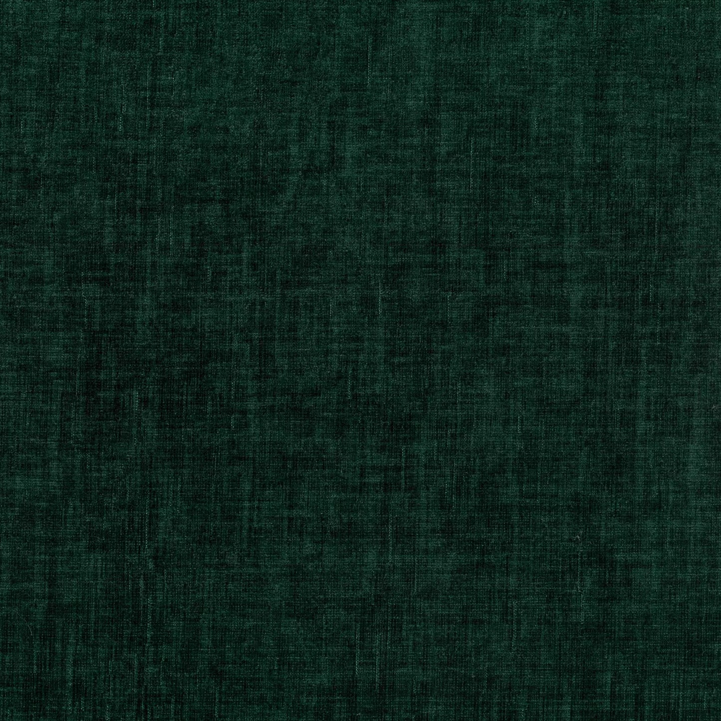Dion Forest by Warwick Fabrics