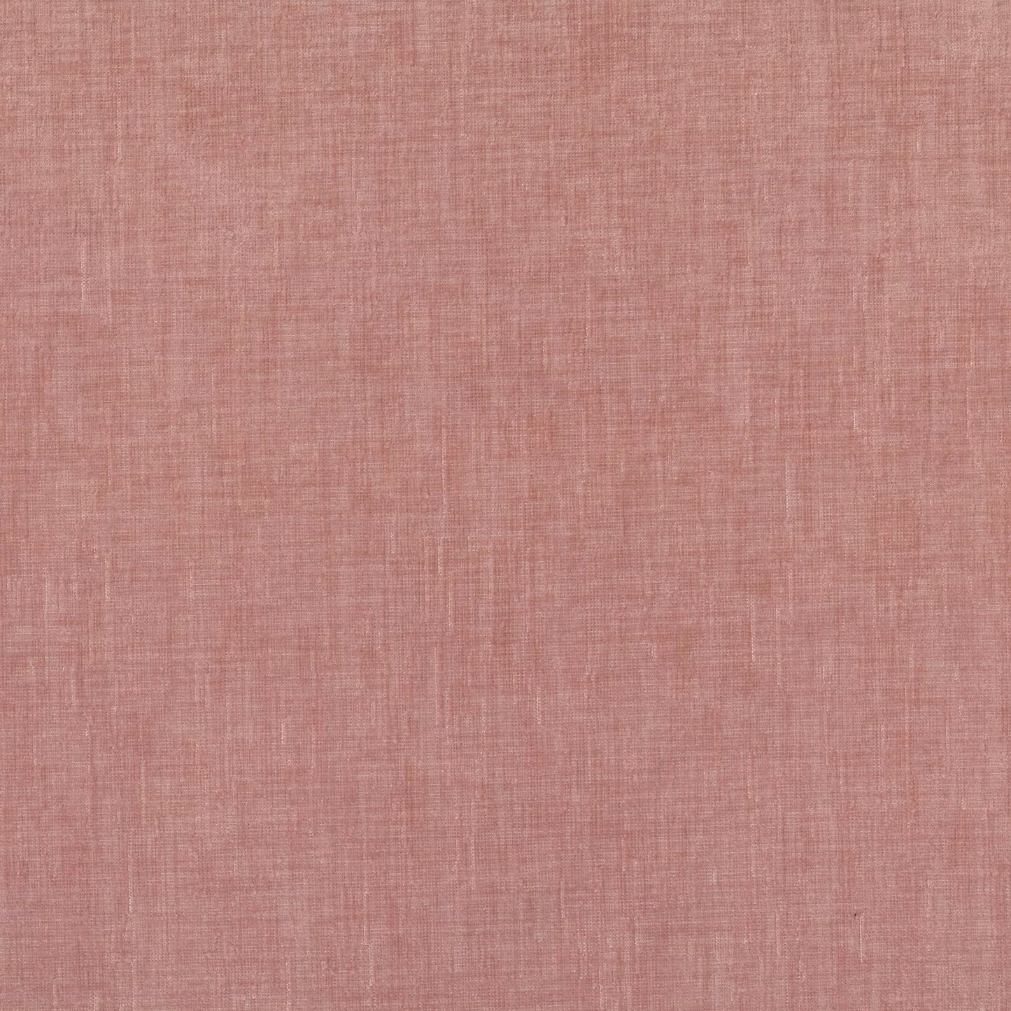 Dion Shell by Warwick Fabrics
