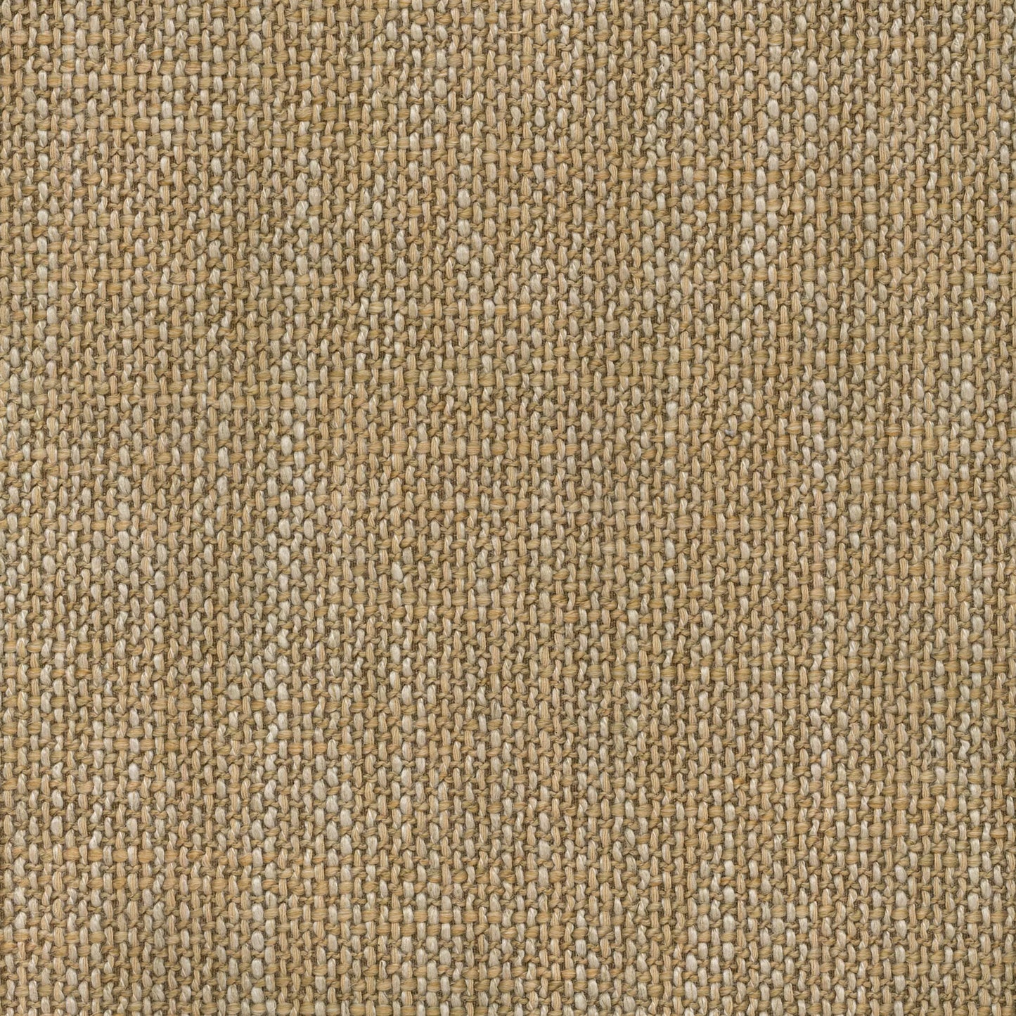 Emery by Warwick Fabrics
