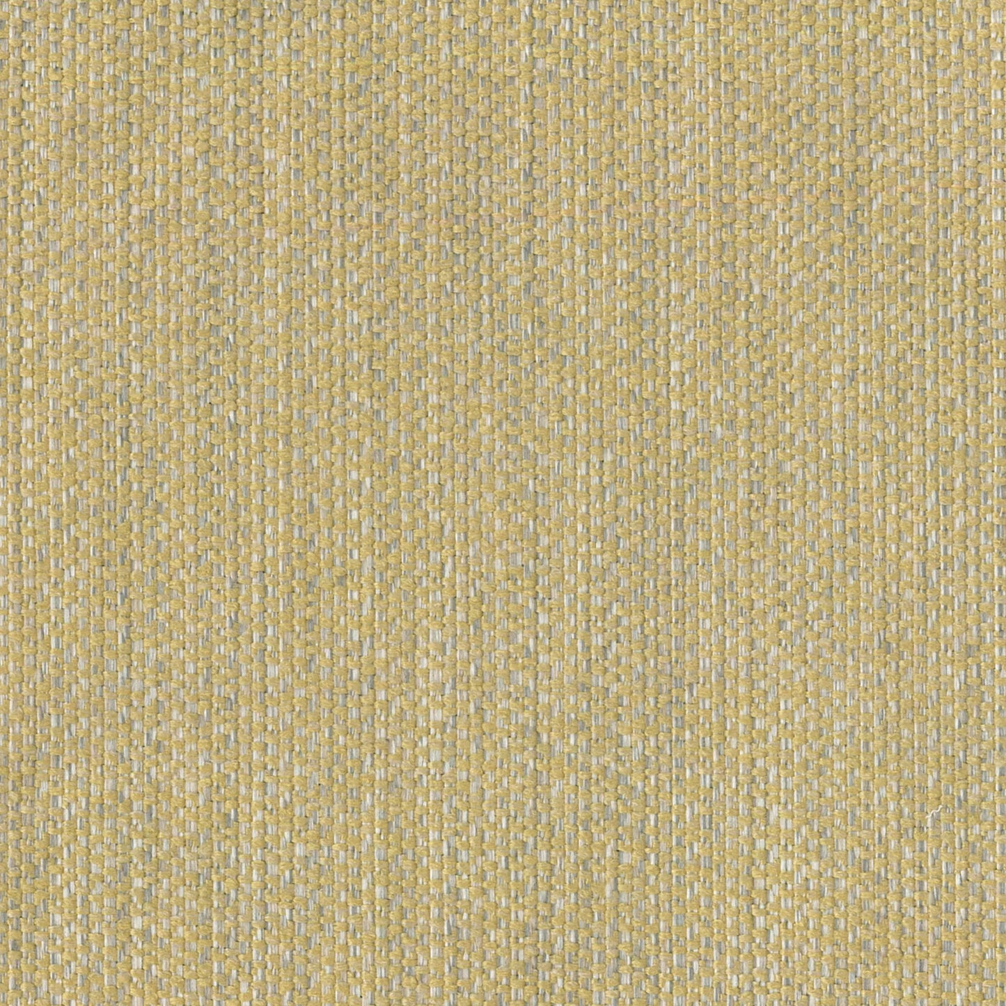 Emir Custard by Warwick Fabrics