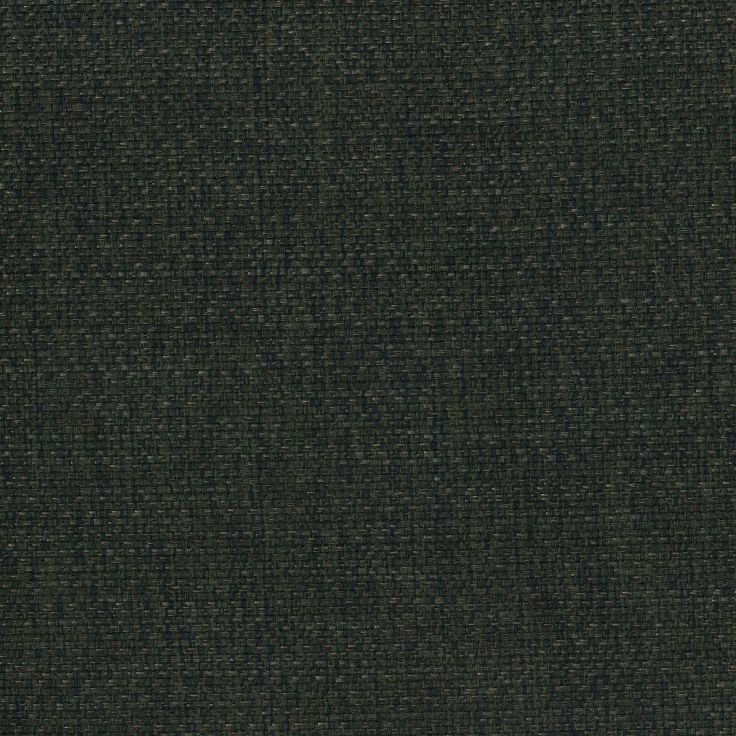Emir Forest by Warwick Fabrics