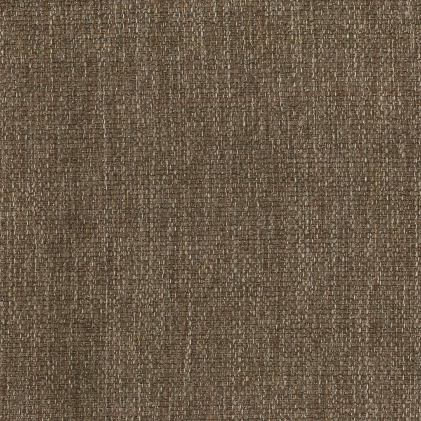 Emir Wheat by Warwick Fabrics