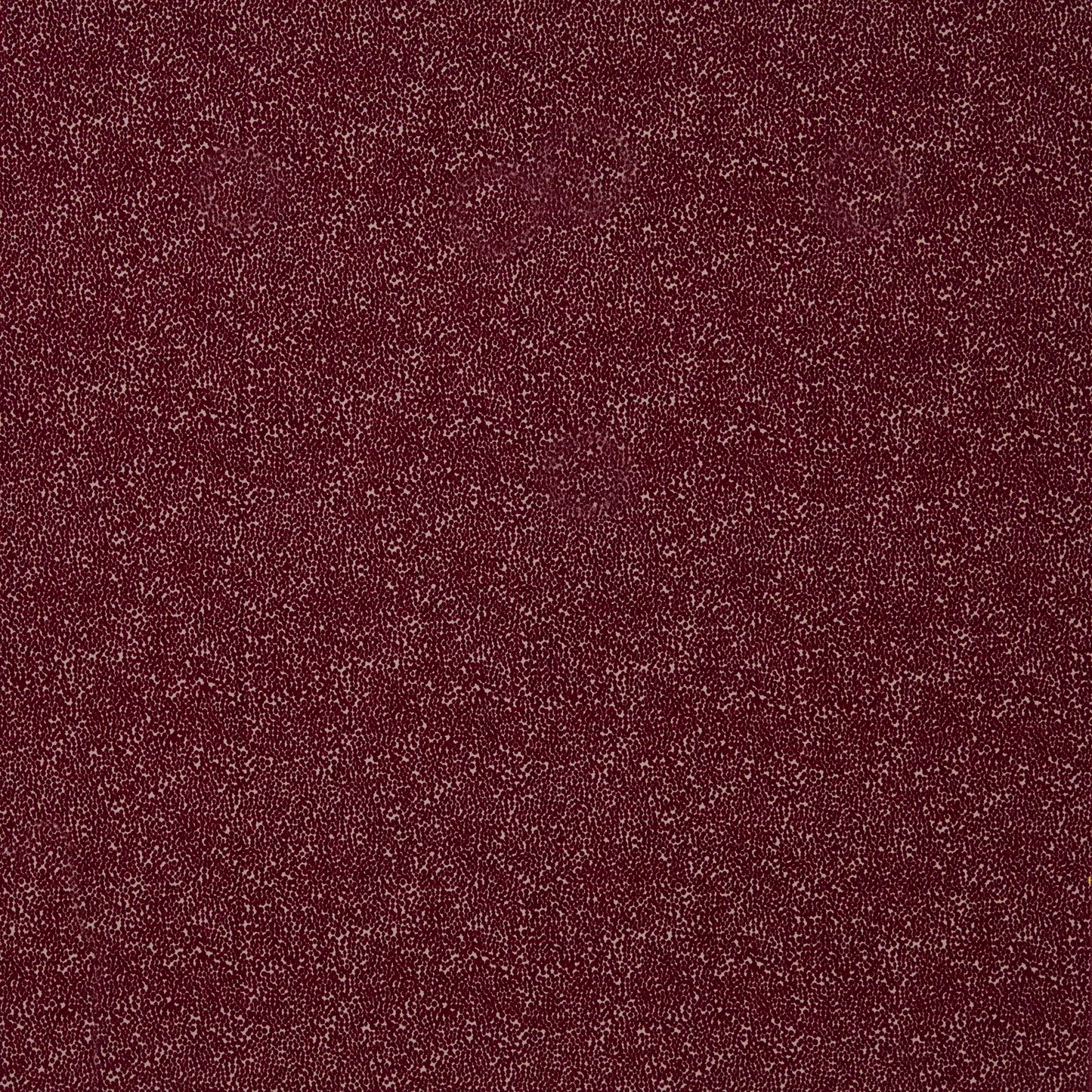 Frasier by Warwick Fabrics