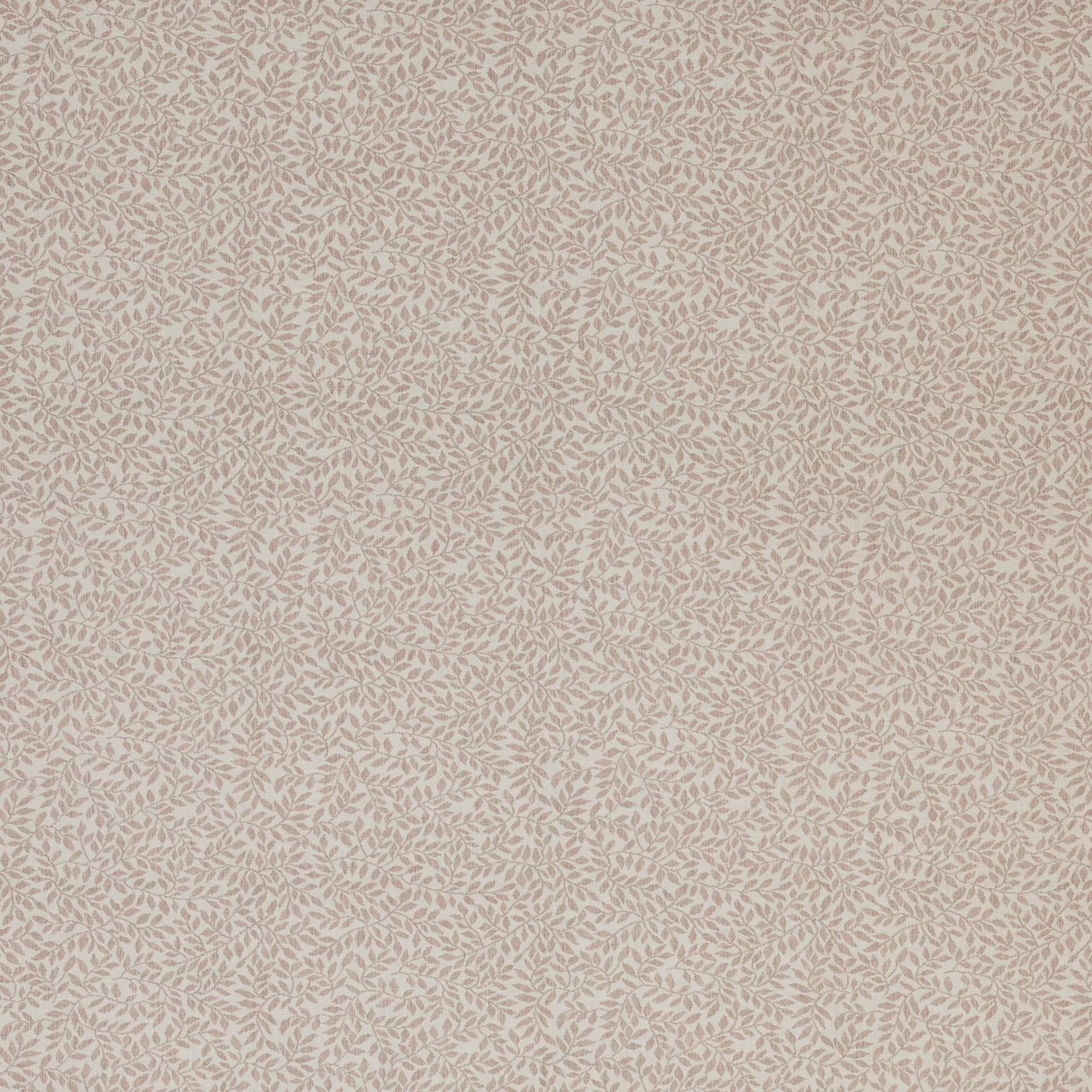Hempstead Blush by Warwick Fabrics