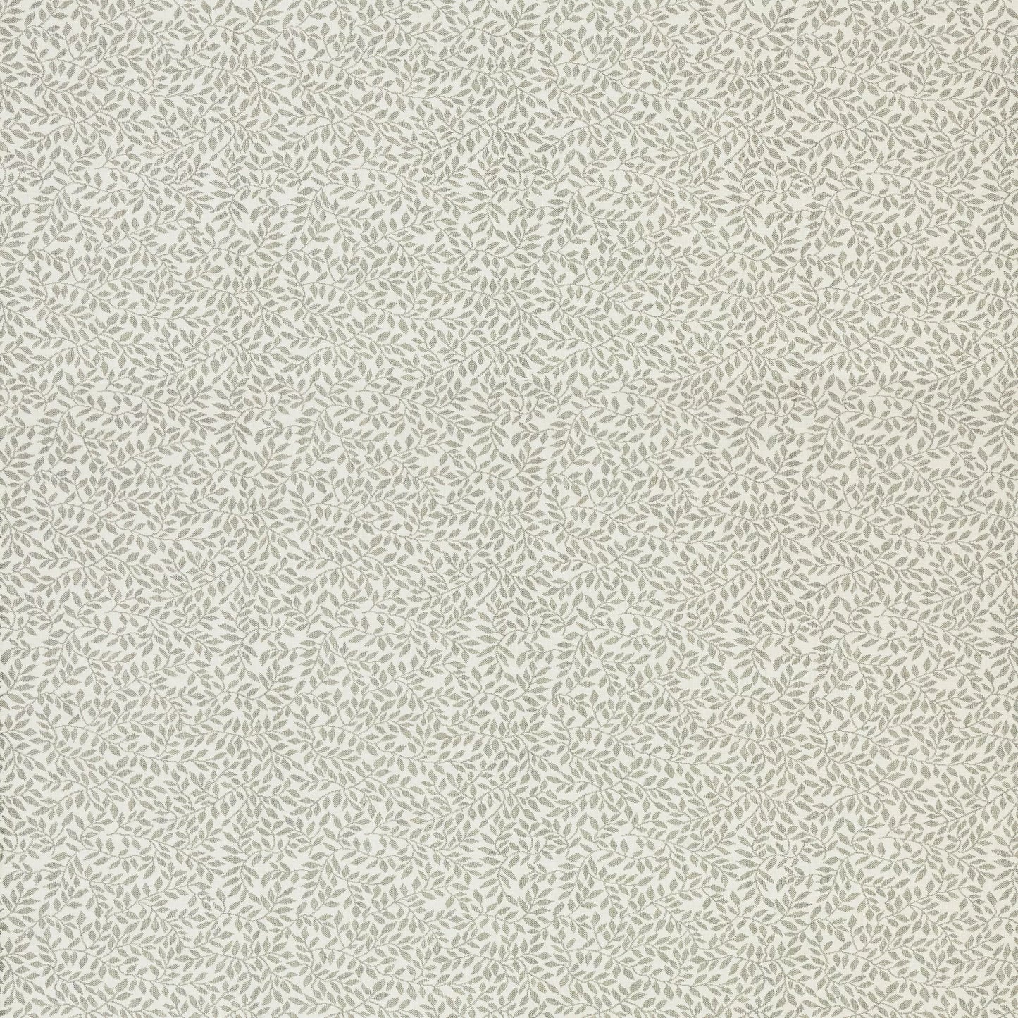 Hempstead Sage by Warwick Fabrics